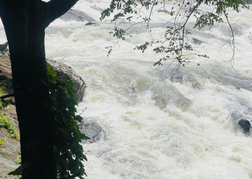 Athirapally Waterfalls with Oberon Tours