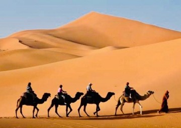 Early Morning Sunrise Desert Safari with Camel ride,Sand boarding and light breakfast