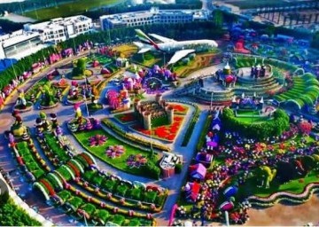 Miracle Garden