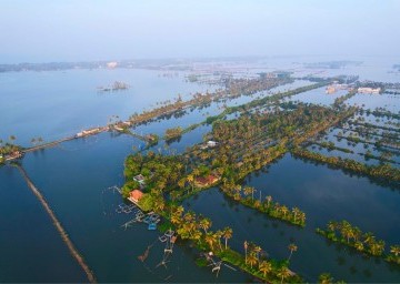 kumbalangi kochi Back water ride with Canoe and Kayaking with Dinner on Island