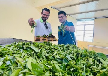 Kerala Package Minnar