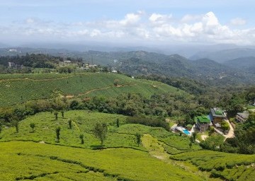 munnar